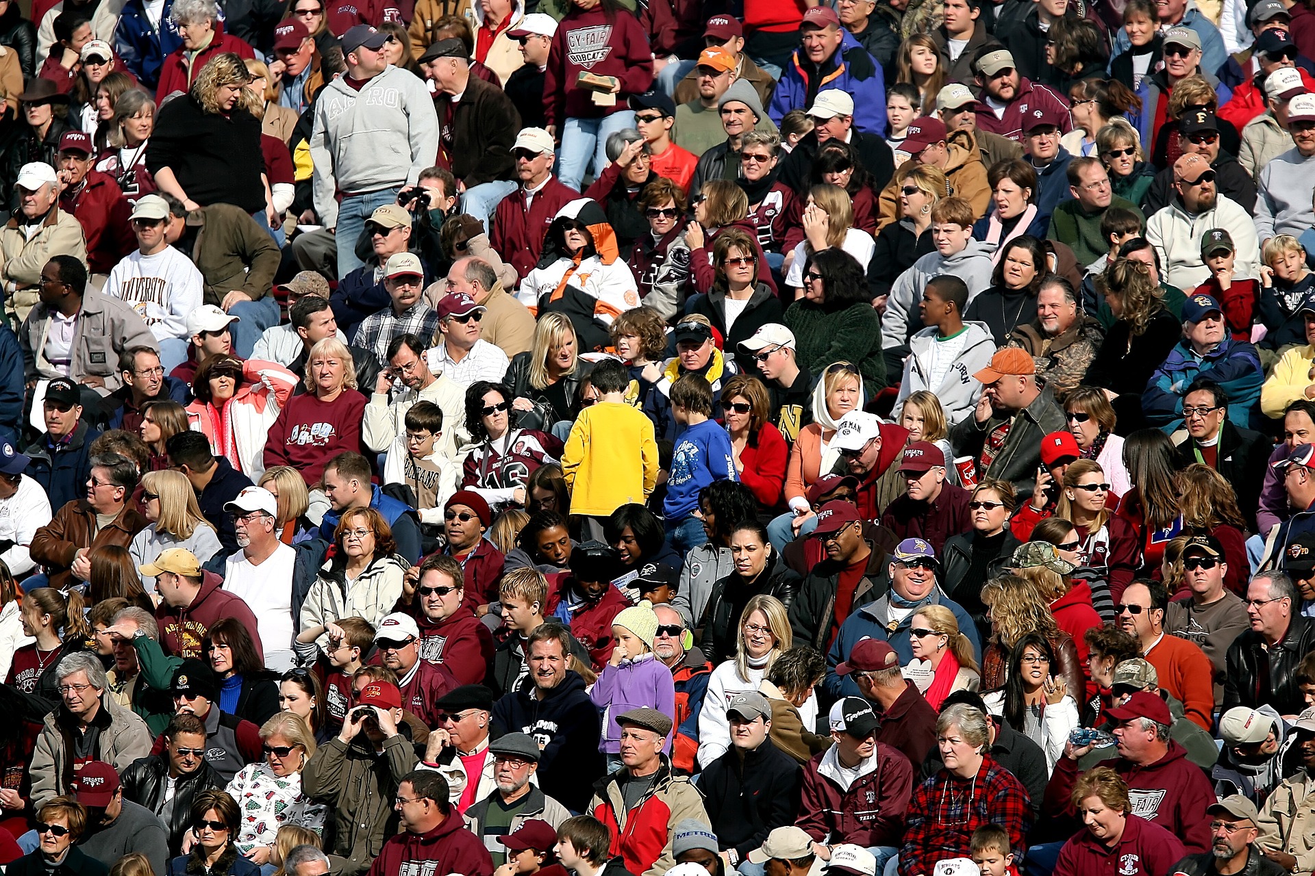 Crowd of people at a sports game