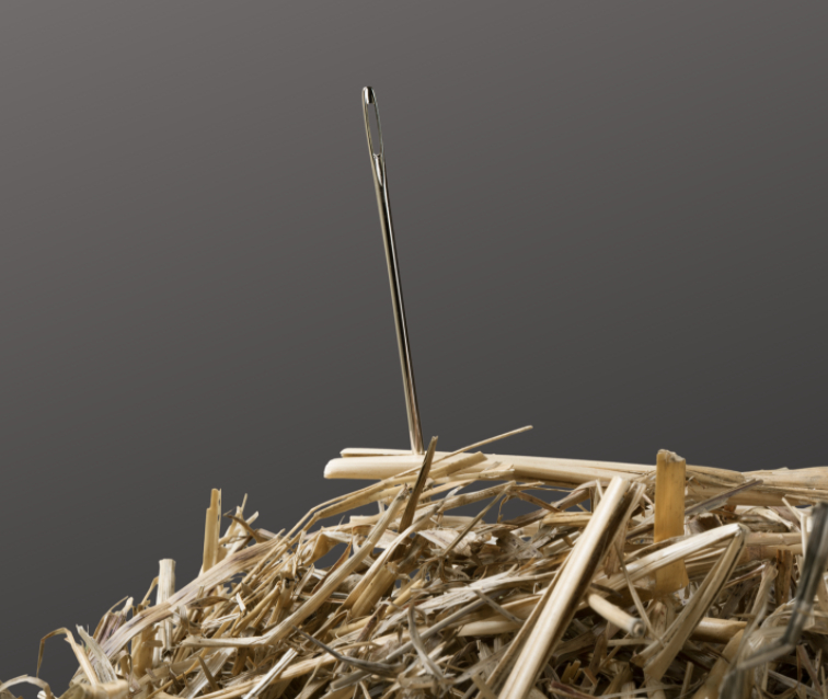 A needle sites upon a pile of hay